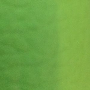 Meet your Posher, Lana